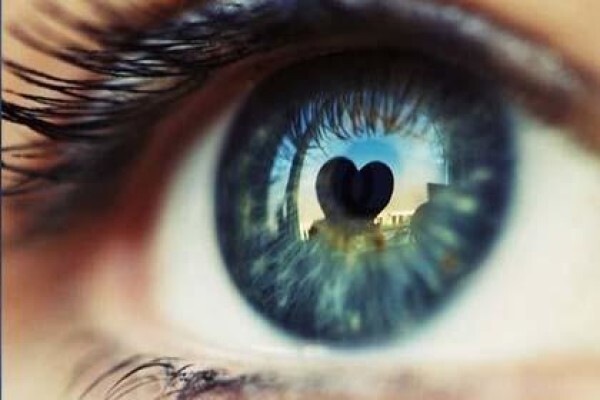 Gauteng Cornea And Eyebank