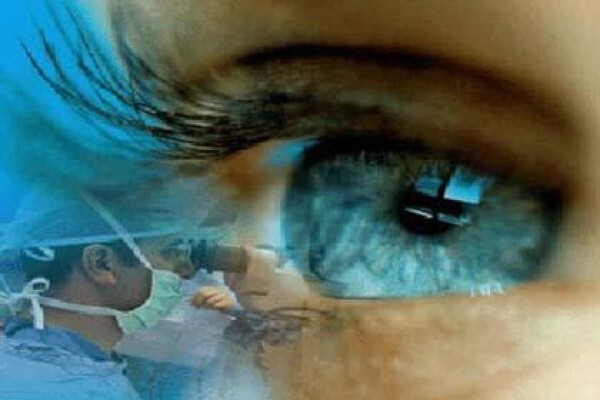 Gauteng Cornea And Eyebank