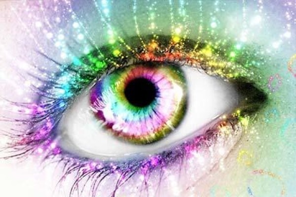 Gauteng Cornea And Eyebank