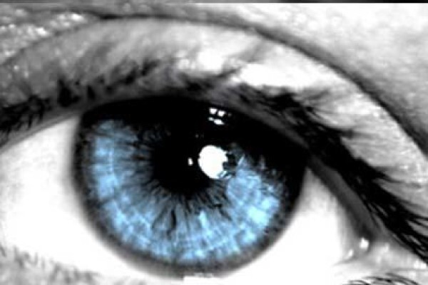 Gauteng Cornea And Eyebank