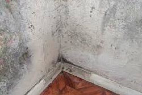 Gauteng Home Inspections