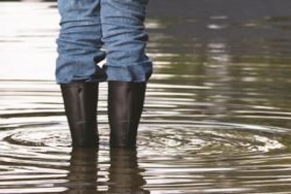 Gauteng Home Inspections