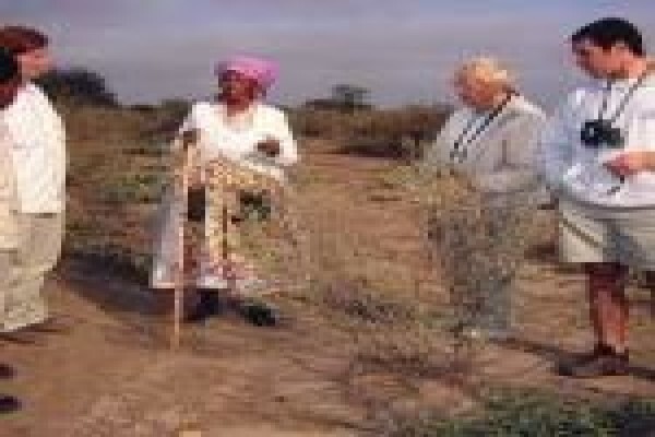Gava Explorations