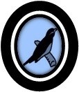Black Bird Cc