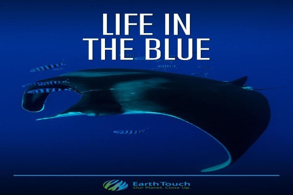 Earth-Touch