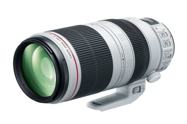 Dslr Training