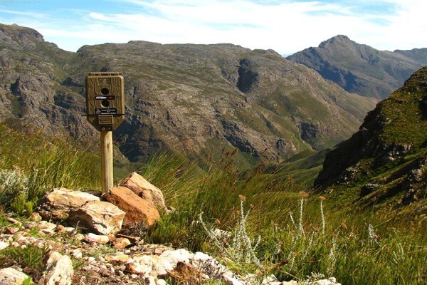 The Cape Leopard Trust
