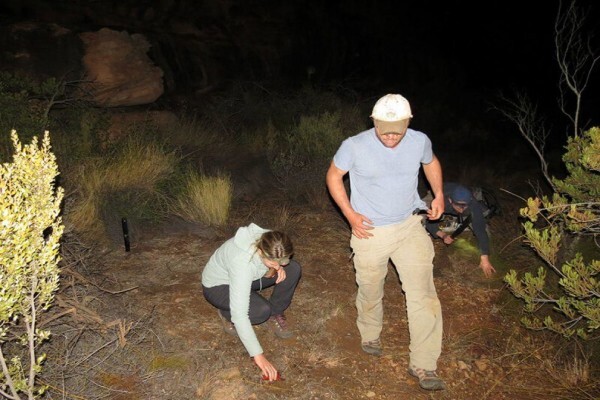 The Cape Leopard Trust