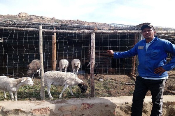 The Cape Leopard Trust