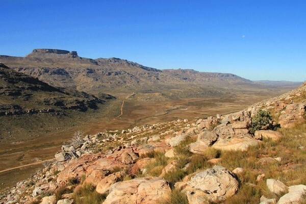 The Cape Leopard Trust