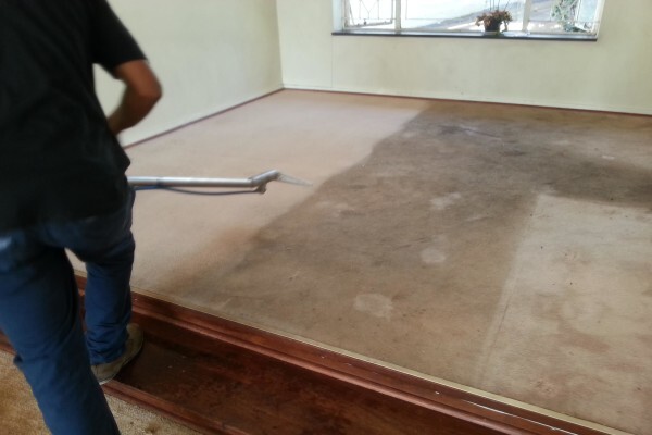 Expert Carpet Cleaning
