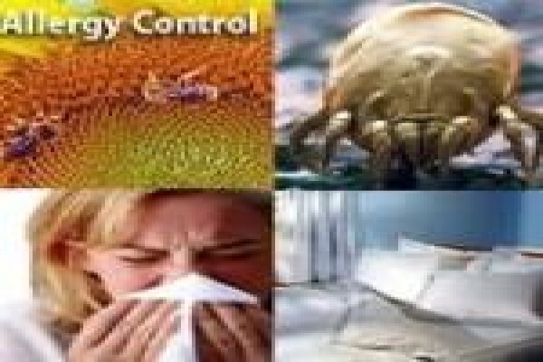 Carpet Spring Cleaners