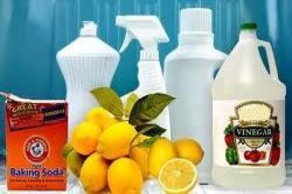 Carpet Spring Cleaners