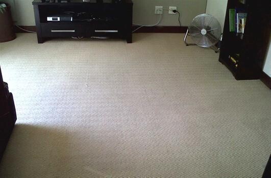 Expert Carpet Cleaning