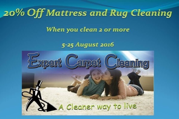 Expert Carpet Cleaning