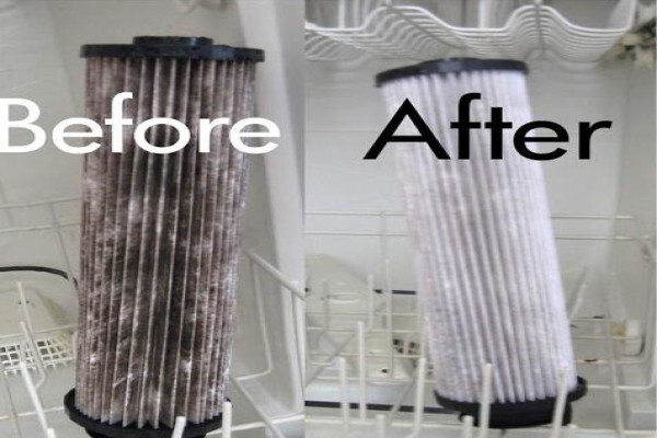 Expert Carpet Cleaning