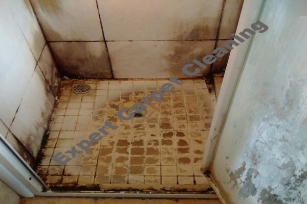 Expert Carpet Cleaning