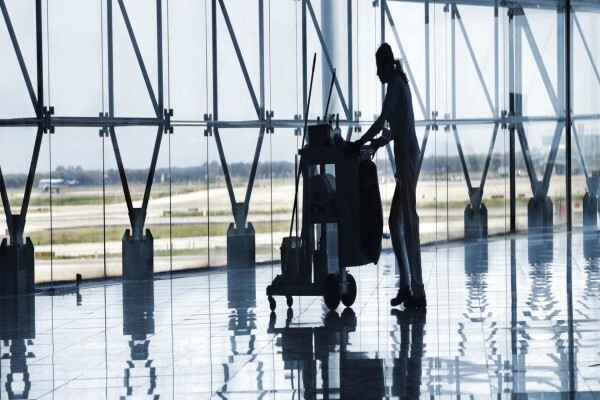 Expert Carpet Cleaning