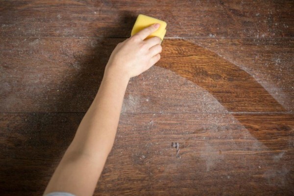 Expert Carpet Cleaning