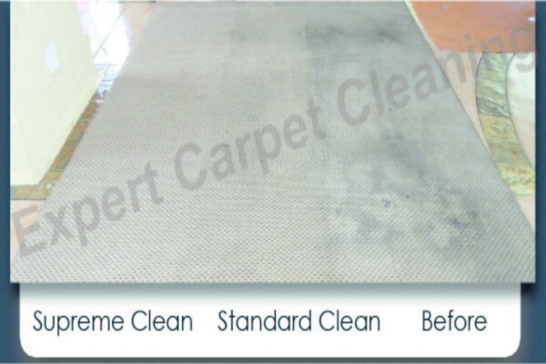 Expert Carpet Cleaning