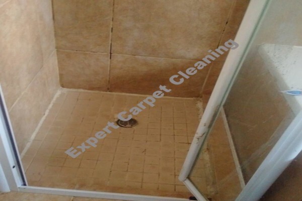 Expert Carpet Cleaning