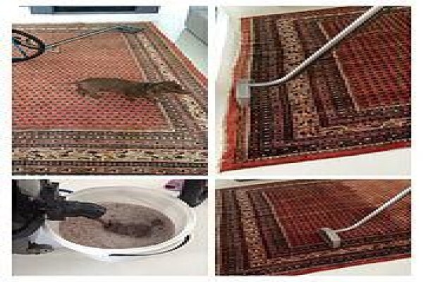 Prime Carpet Cleaners