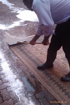 Hamid Persian Rugs