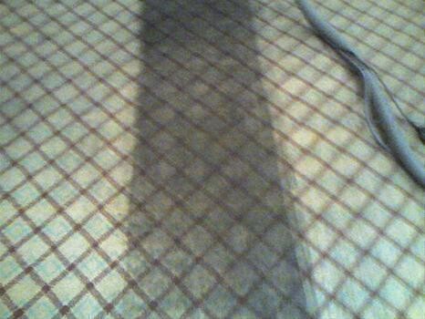 Cape Carpet Cleaners