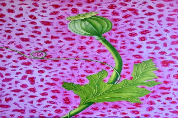 Sally Arnold
