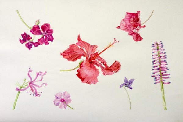 Sally Arnold