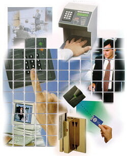 Supreme Network Cabling