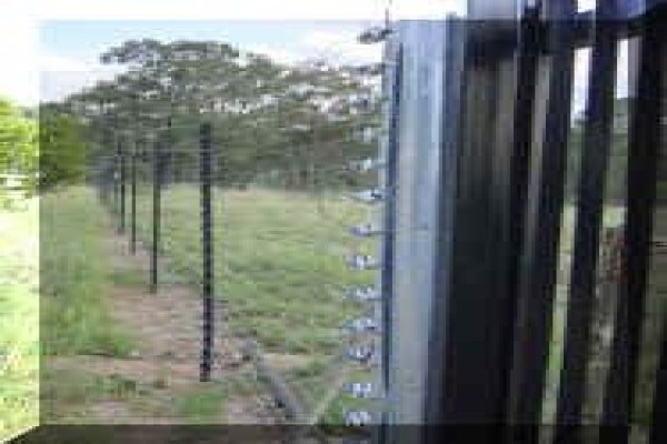 Tack Security Systems