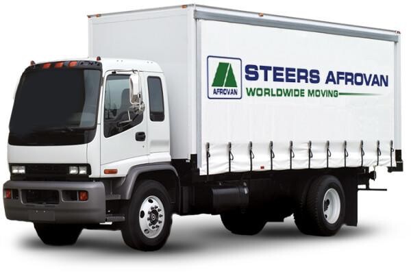 Steers Afrovan