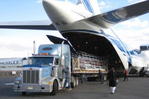 Belfreight