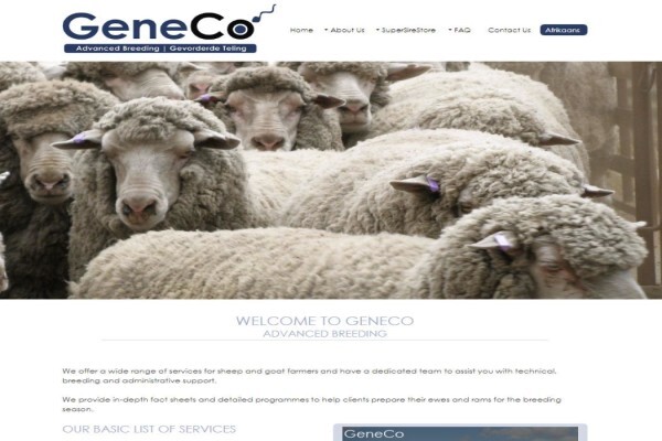 S2 Web Solutions