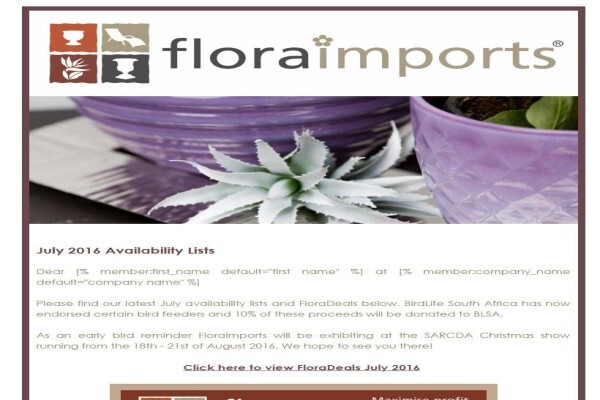 S2 Web Solutions