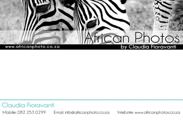 S2 Web Solutions