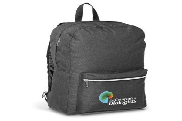 Lotsmore Promotions