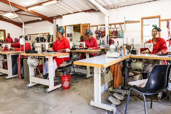 Mongoose Clothing And Accessories