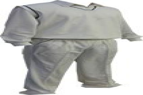 Viking Sports