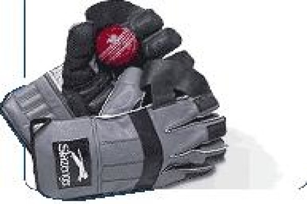 Viking Sports