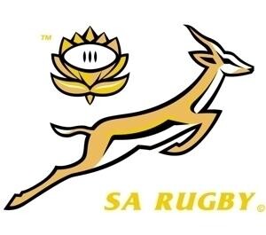 Springbok Jersey Johannesburg