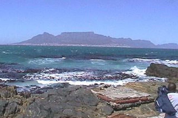 Cape Trading Port