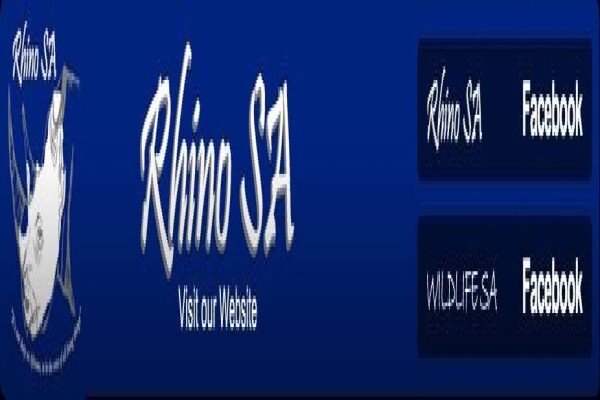 Kio