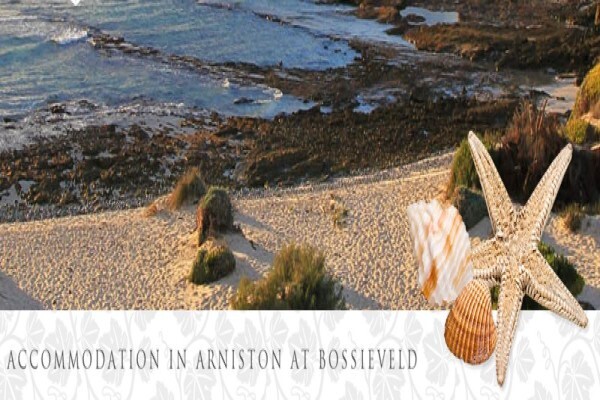Exclusive Helderberg Business Directory