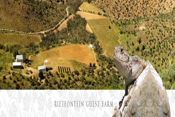 Exclusive Helderberg Business Directory