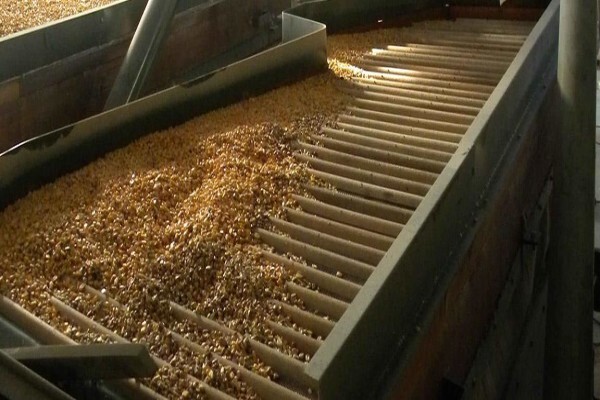 Grain Cleaning