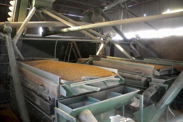 Grain Cleaning