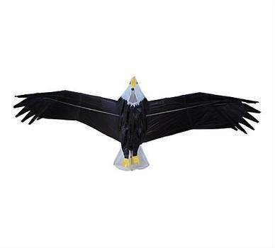 Eagle Transcription And Translation Services