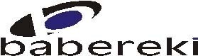 Babereki Employee Support Services (Pty) Ltd